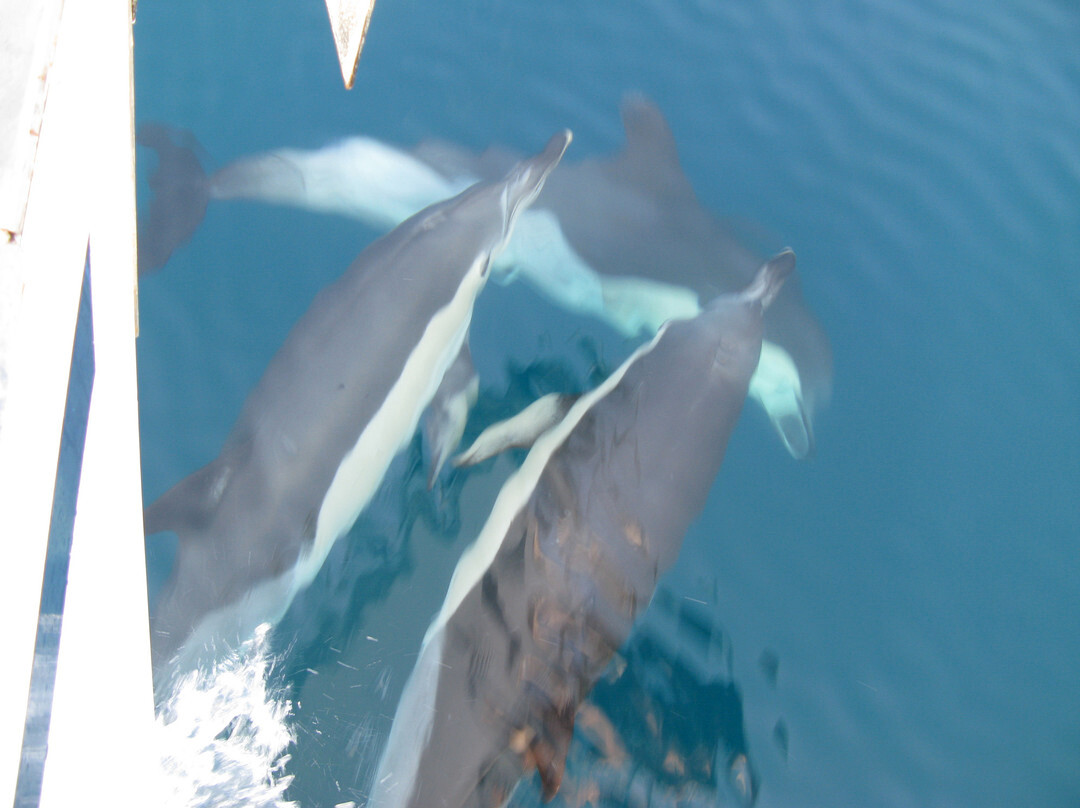 Navegar en Formentera景点图片