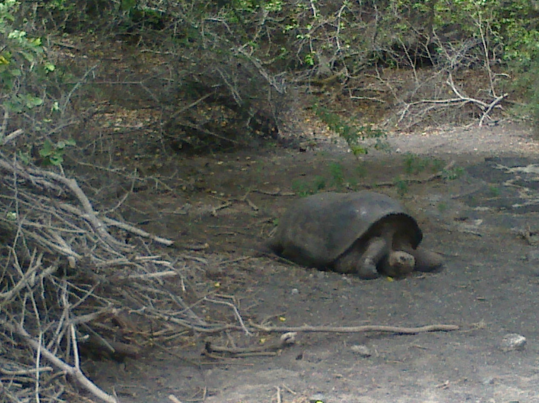 Centro de Crianza Arnaldo Tupiza-维里亚米尔港必去景点