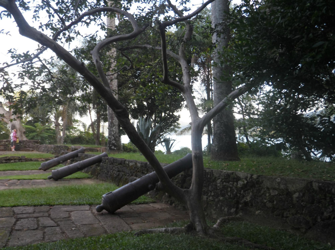 Forte Defensor Perpetuo Museum景点图片