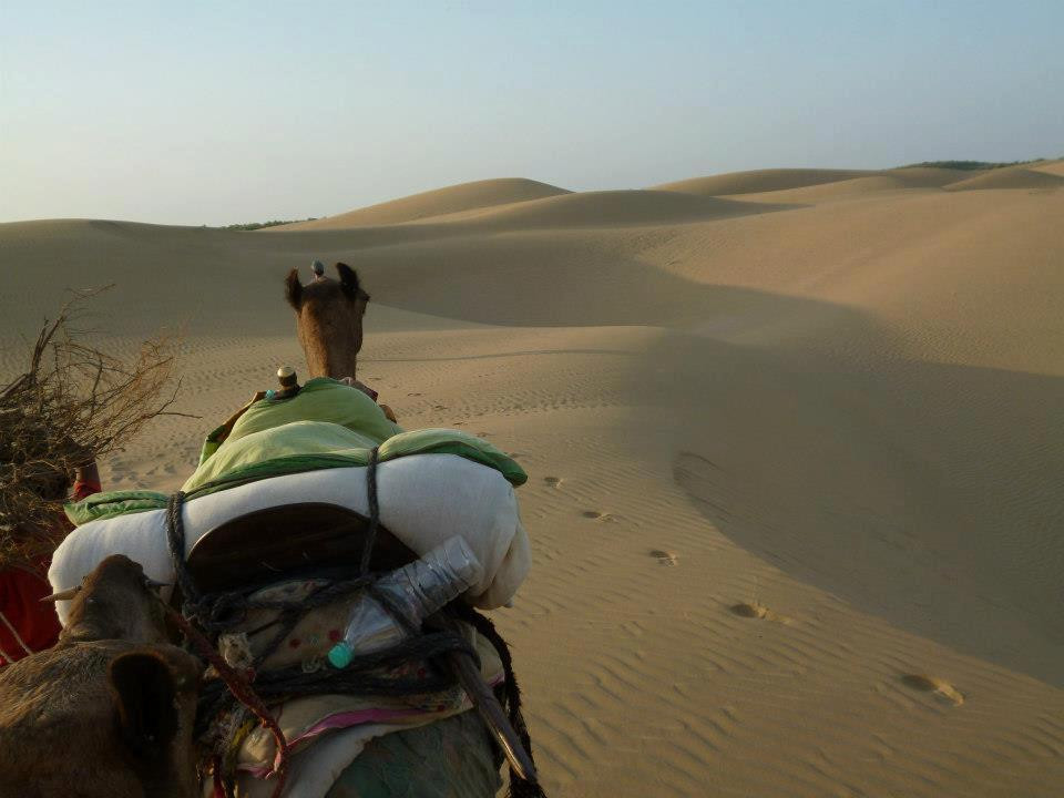 Kamals Private Camel Tour - Day Tours景点图片