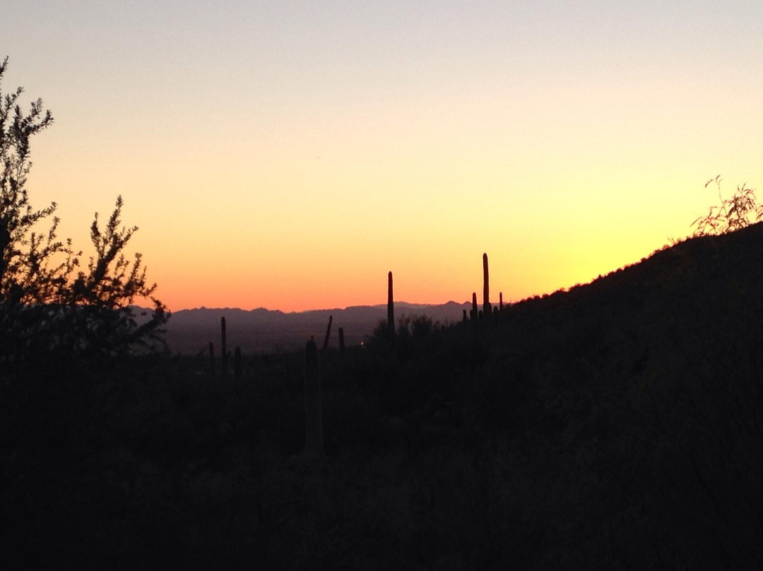 Ritz Carlton Golf Course Dove Mountain-马拉纳必去景点