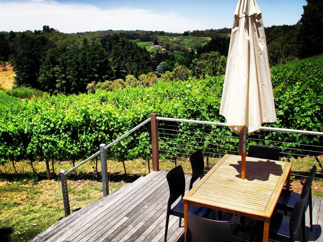 Mt Lofty Ranges Vineyard景点图片