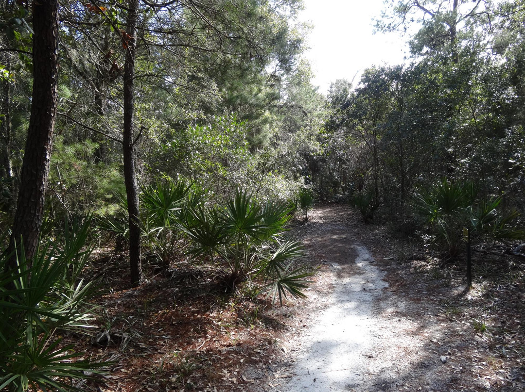 Oak Tree Nature Park-Mary Esther必去景点