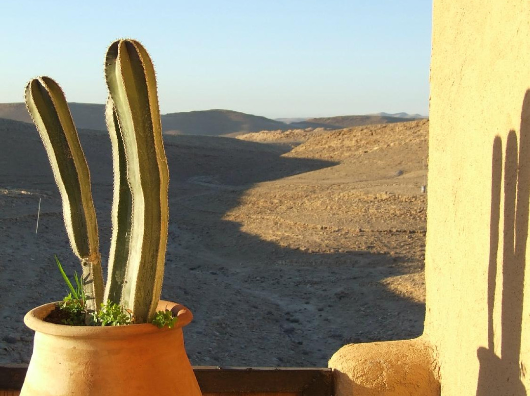 Desert Roof Top主图