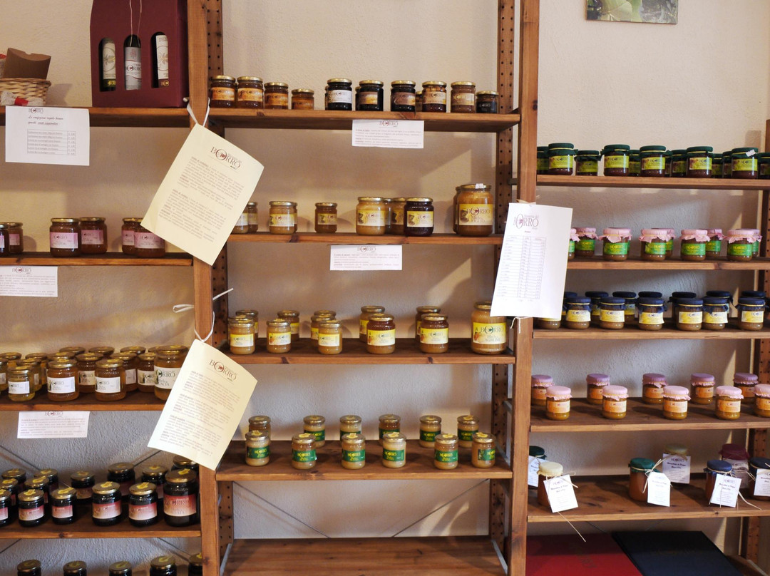 Tenuta Monte Sant'Angelo主图