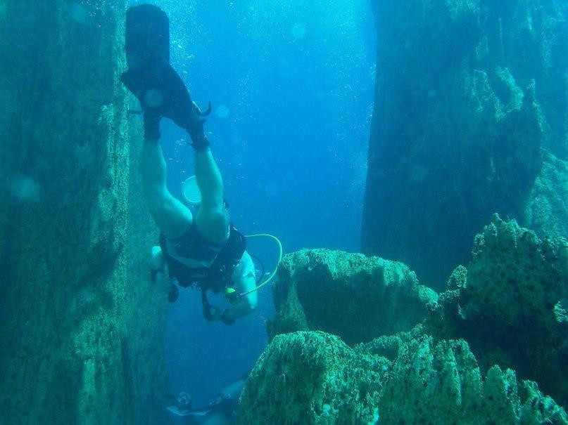 Dive Cal景点图片