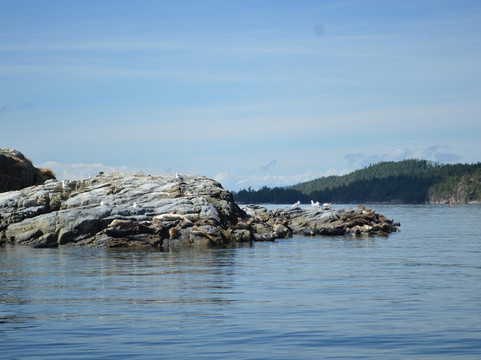 I'Hos Cultural Tours-Lund必去景点