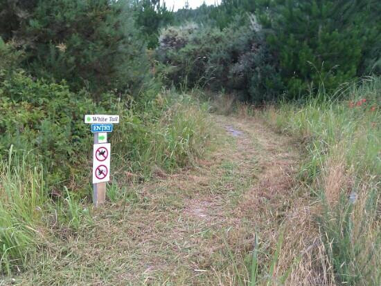 Parahaki Mountain Bike Park景点图片