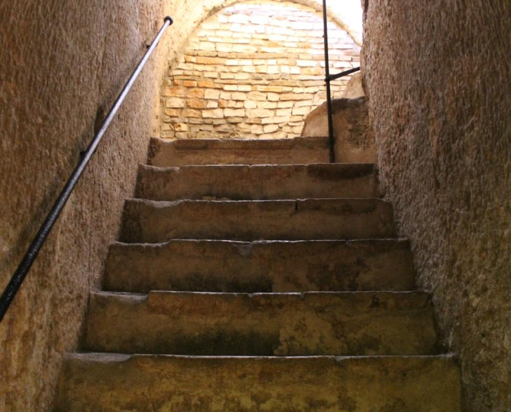 Museo Trappeto Maratea景点图片