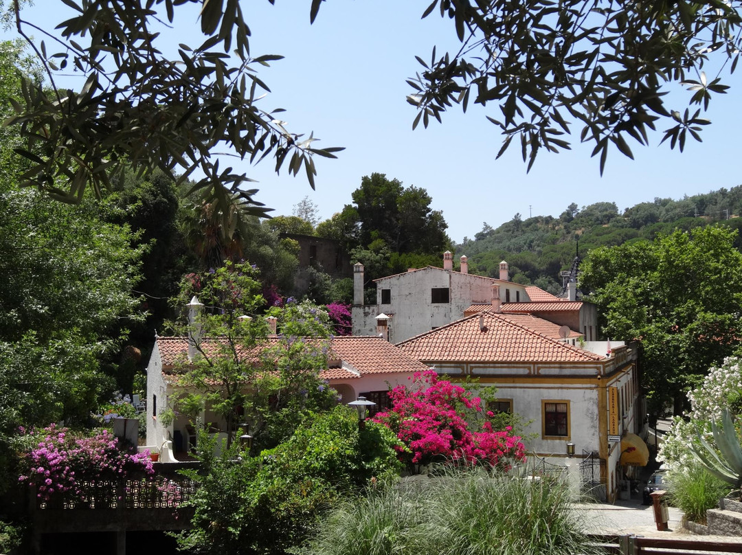 Caldas de Monchique景点图片