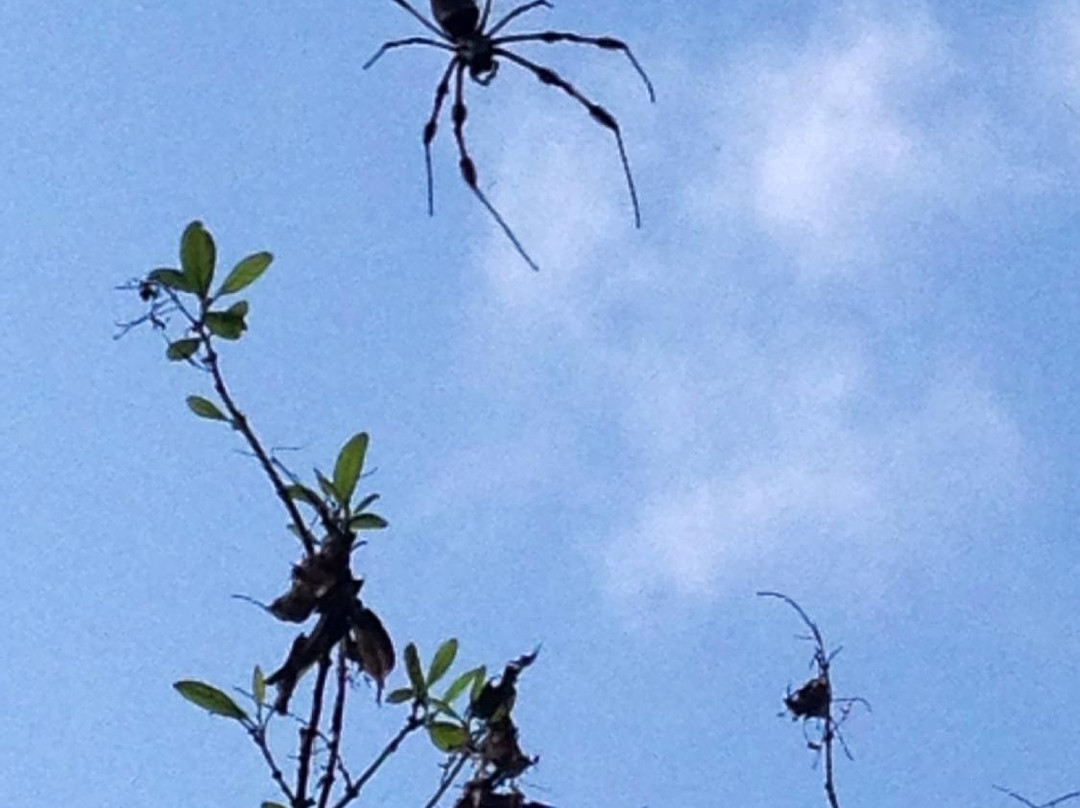 Bear Cut-比斯坎湾必去景点