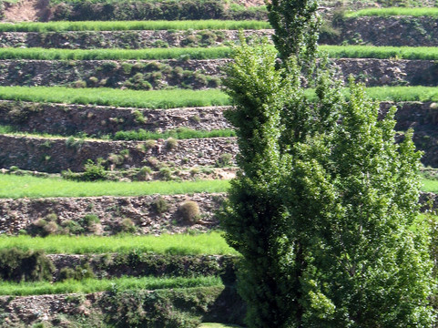 Moroccan Mountain Guides-马拉喀什必去景点