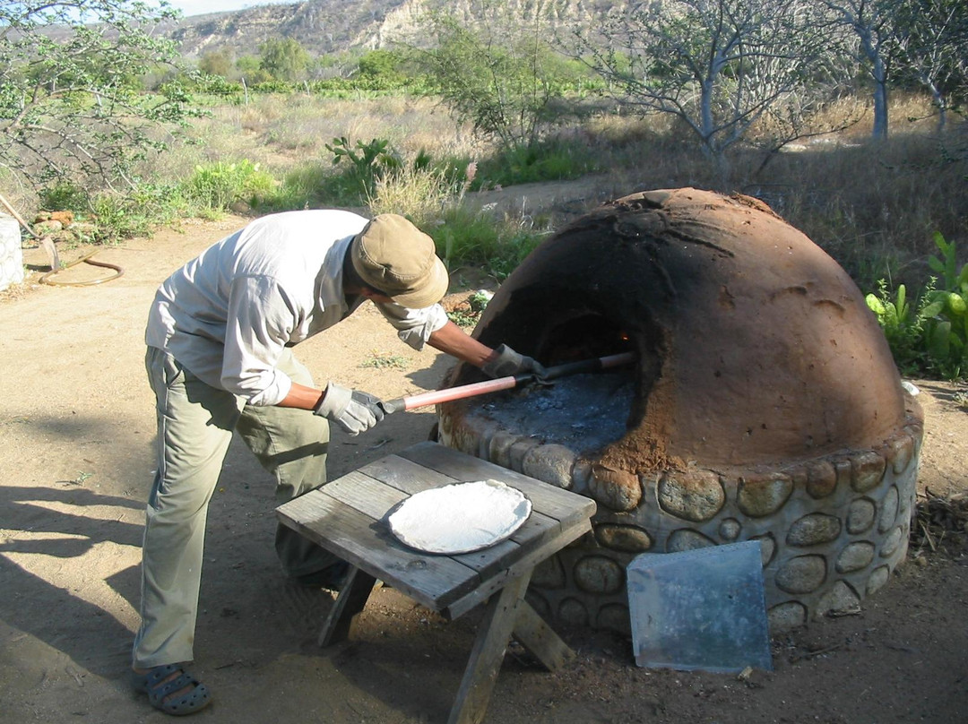 Baja Sierra Adventures景点图片