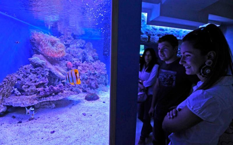 Aquarium Terrarium Sibenik-希贝尼克必去景点