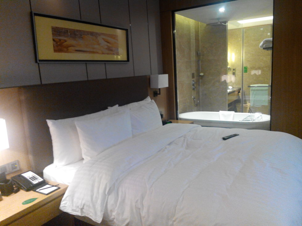 徐州博顿温德姆酒店（高铁东站店）-客卧