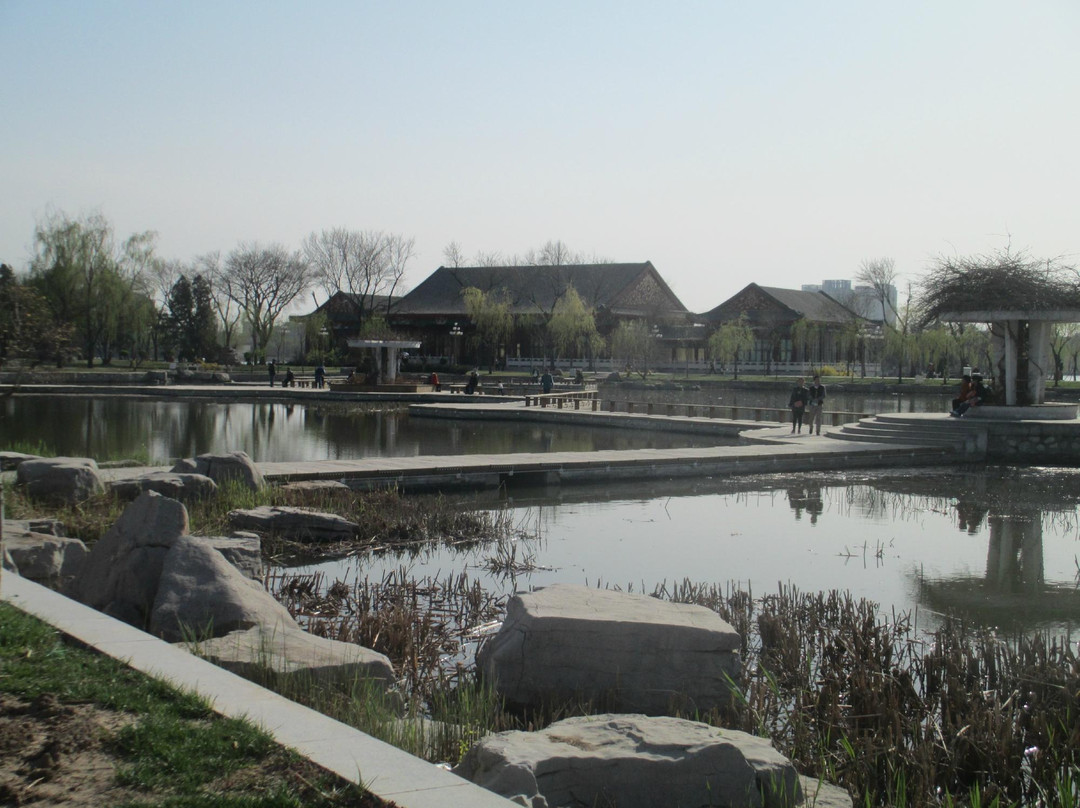 水上公园-天津市必去景点