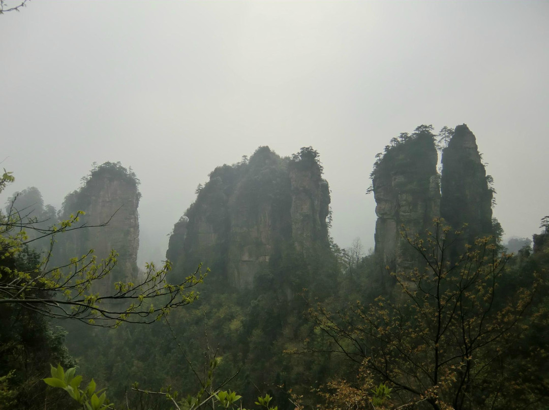 张家界国家森林公园-张家界市必去景点