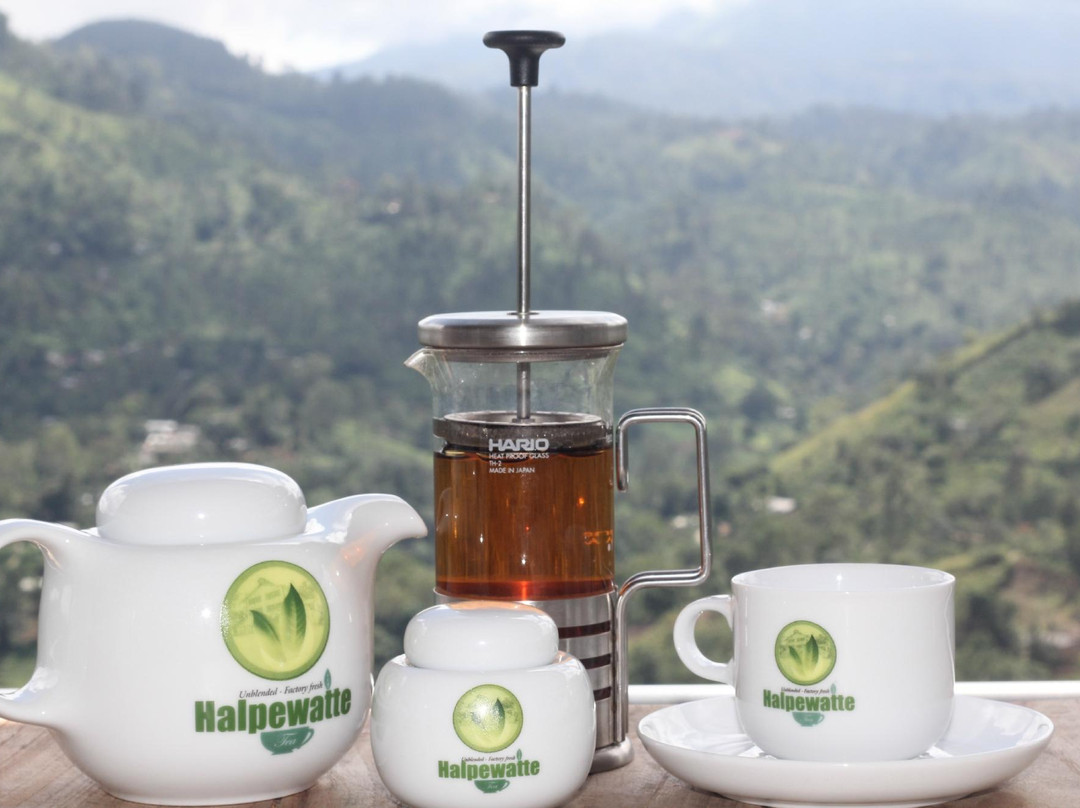 Halpewatte Tea Factory Tour-埃勒必去景点