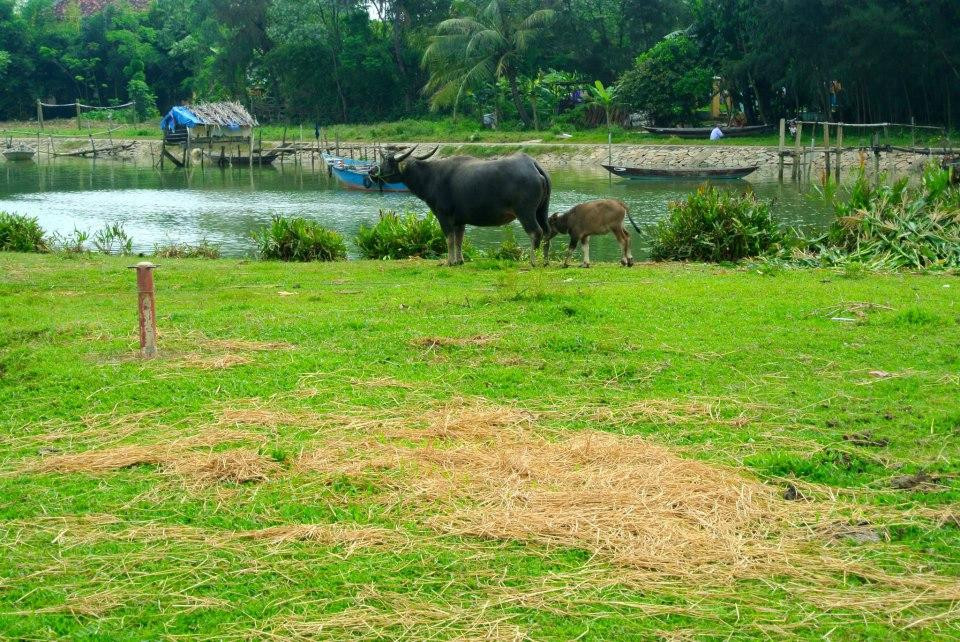 会安免费之旅-会安必去景点