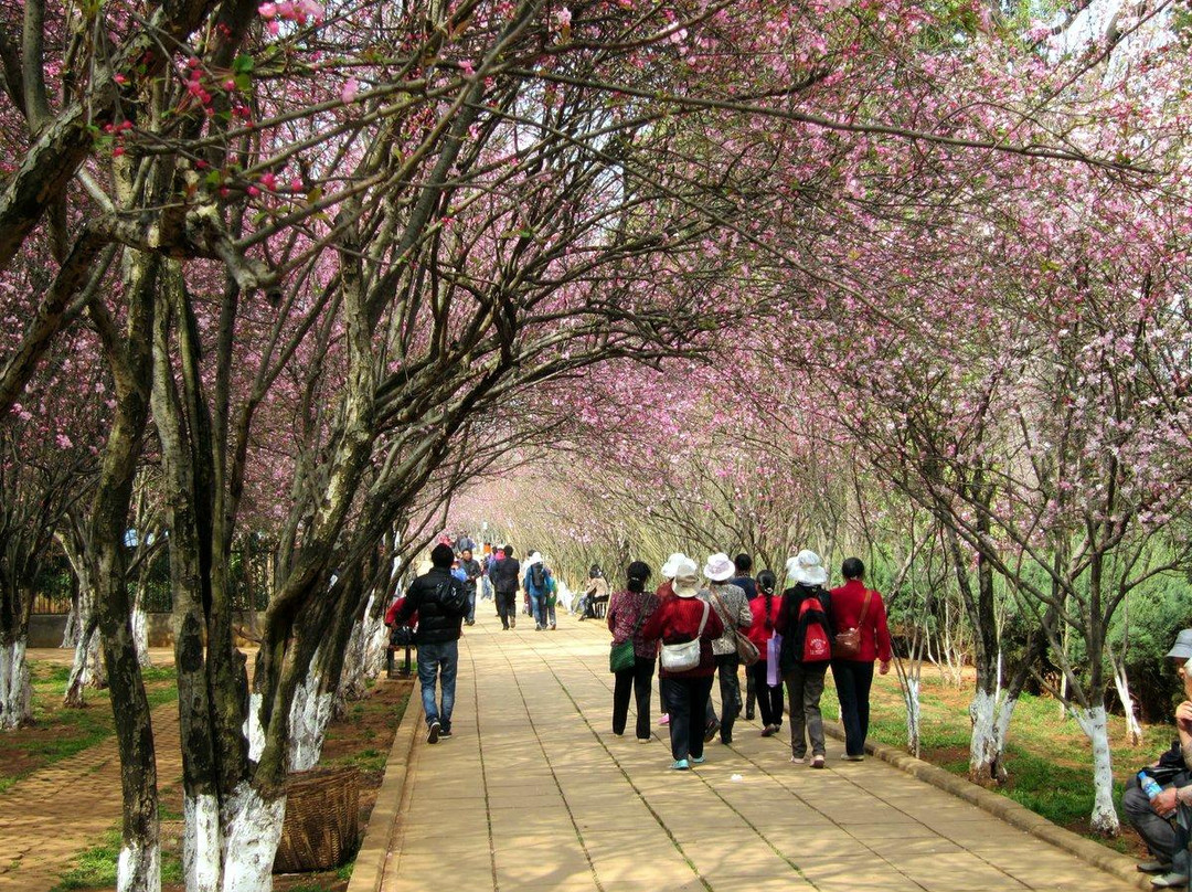 昆明动物园-昆明市必去景点