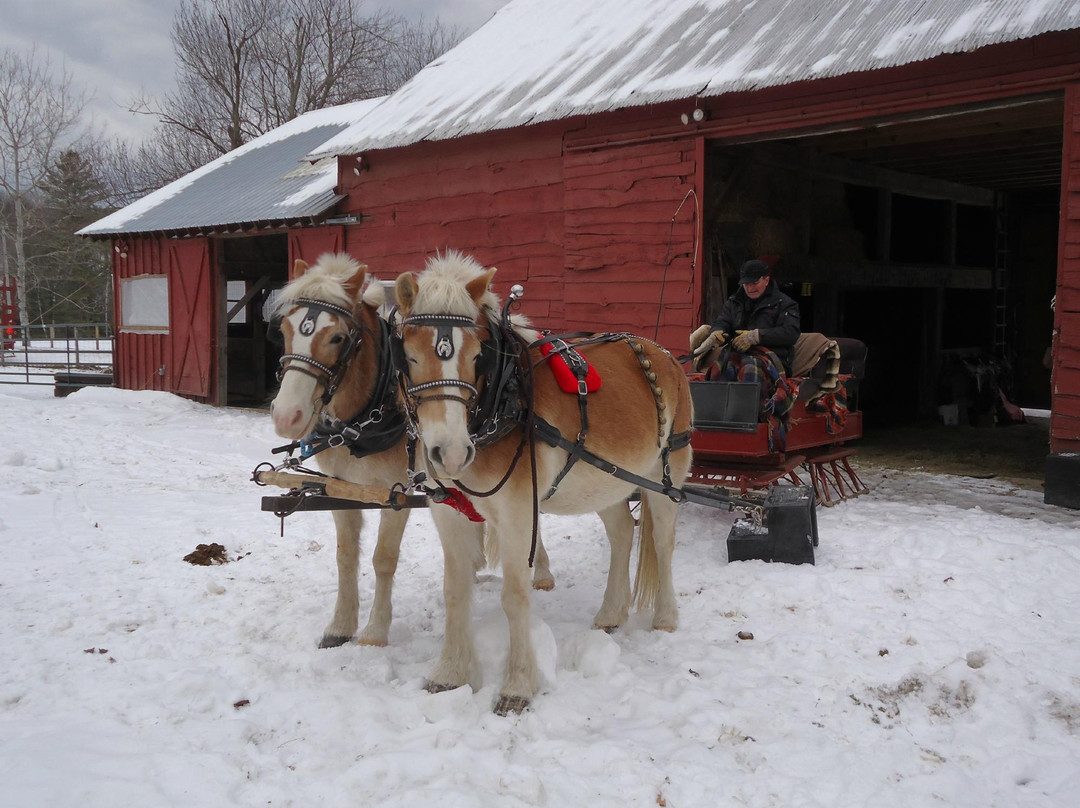 Circle B Ranch-Chestertown必去景点