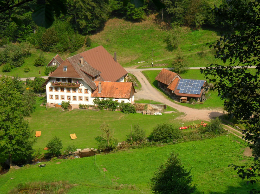 Schingerhof