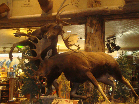 低音乐器专卖店-拉斯维加斯必去景点