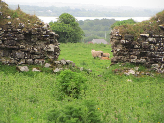 Ballyhugh旅游攻略图片