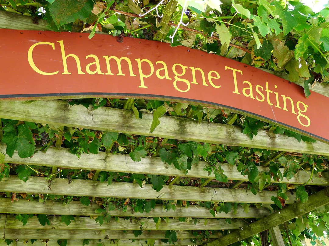 Pugliese Vineyards-Cutchogue必去景点