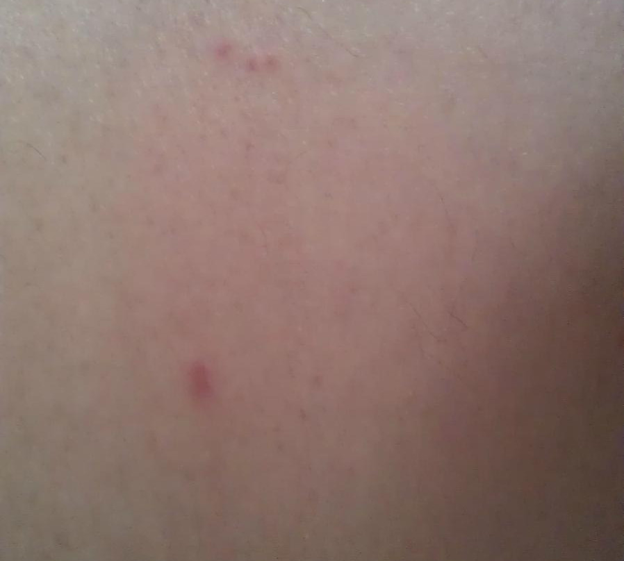 Clos des Boulevards主图