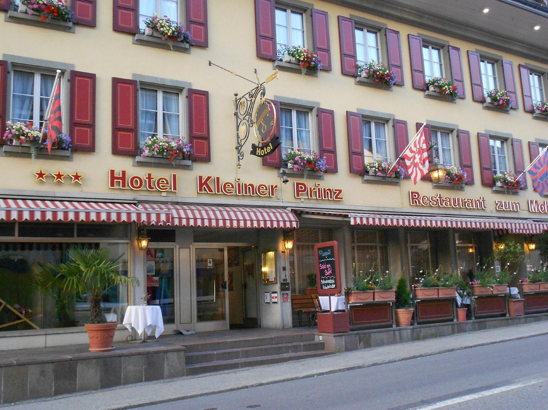 Hotel Kleiner Prinz主图