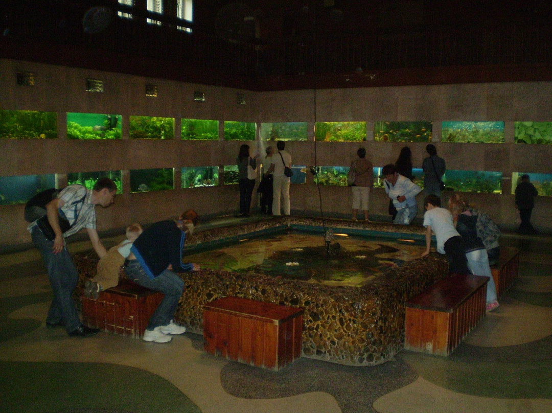 Aquarium Exhibit Hall-车里雅宾斯克必去景点