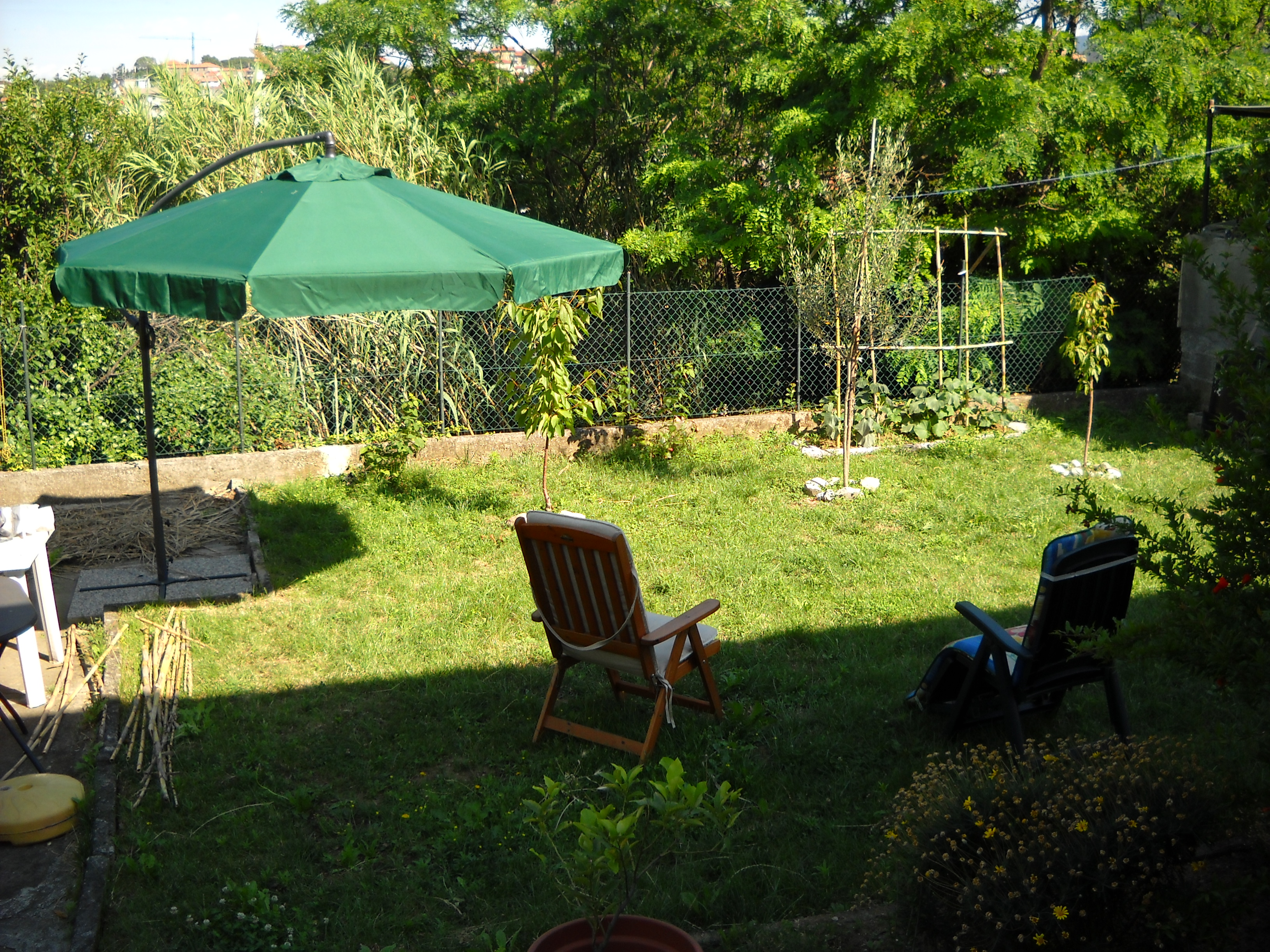 Bed and Breakfast Mimosa-官方