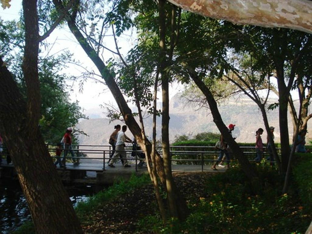 Zoológico Guadalajara景点图片