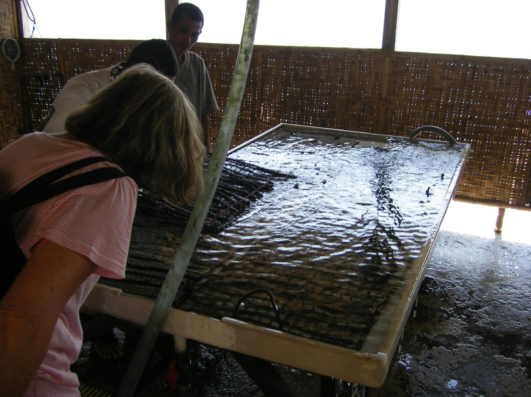 Autore Pearl Farm Tours and Showroom-Pemenang必去景点