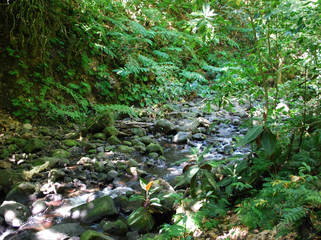 Cascade de Fautaua景点图片