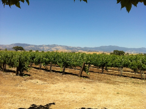 Gainey Estate Vineyards & Tasting Room-圣伊内斯必去景点