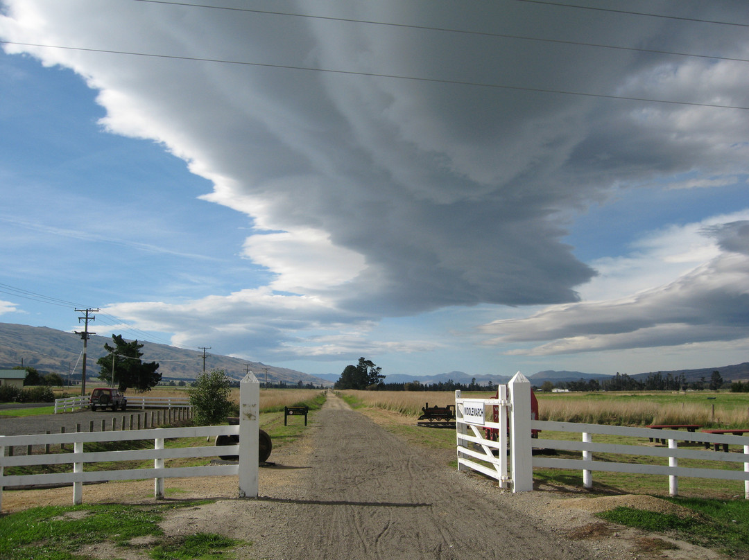 Otago Central Rail Trail-Central Otago必去景点