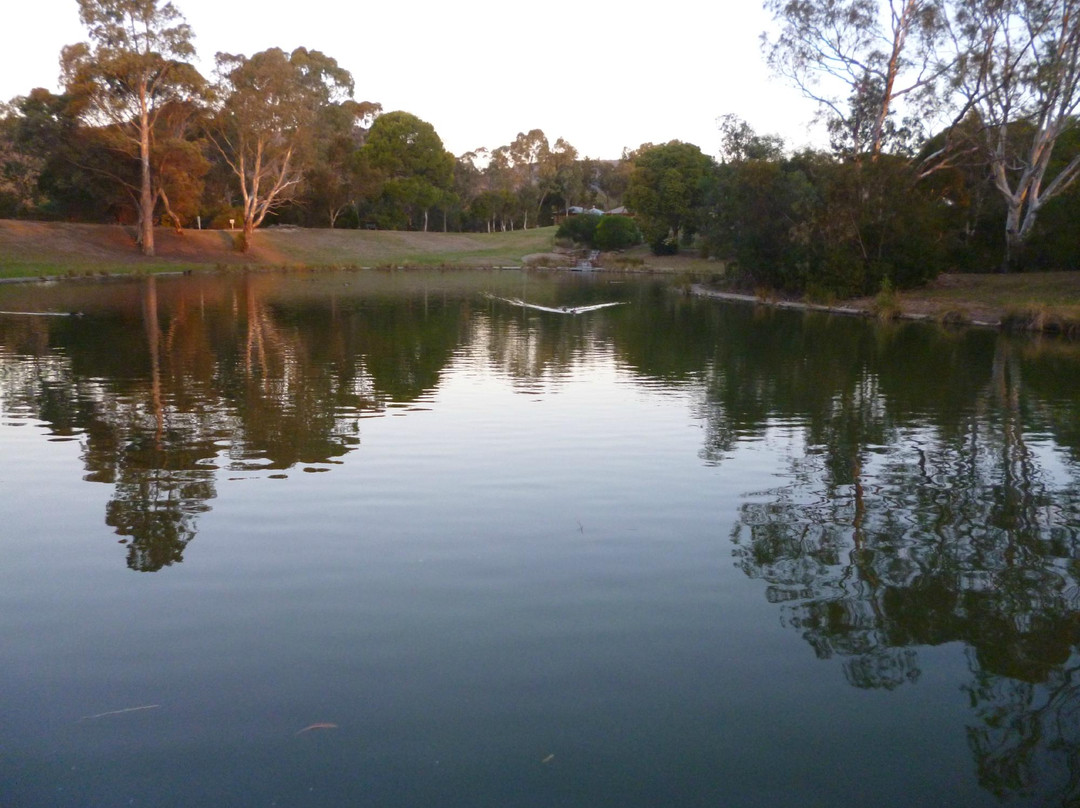 Thorndon Park景点图片