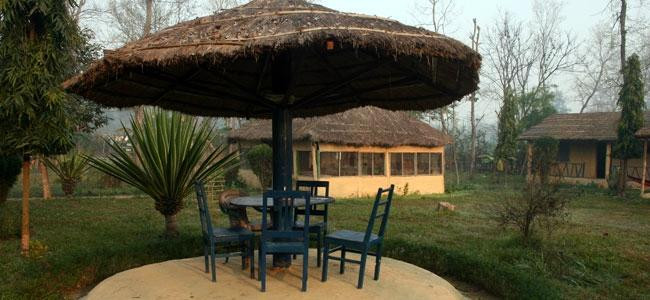 TreeTops Lodge