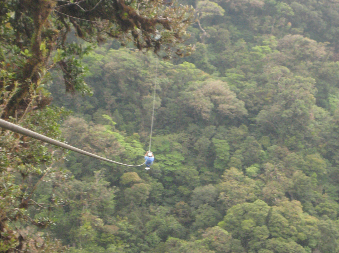 Tee Times Costa Rica Golf Tours景点图片