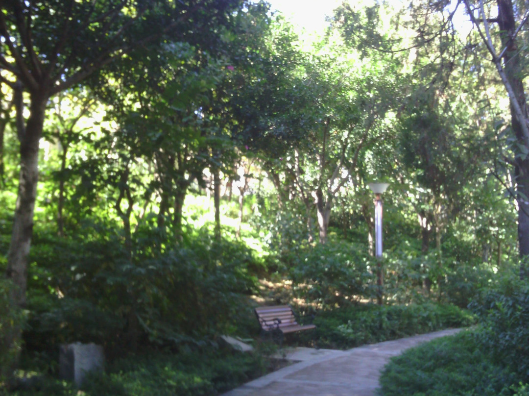 易罗池-保山市必去景点