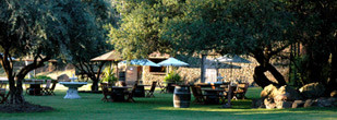Hidden Malibu Wine Country Tours景点图片