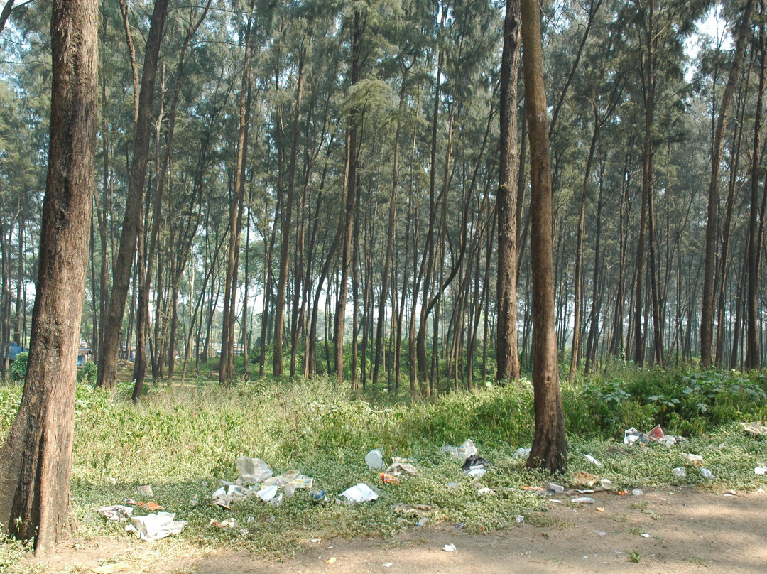 Nagaon Beach-阿里包格必去景点