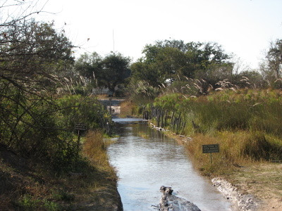 Moremi Wildlife Reserve景点图片