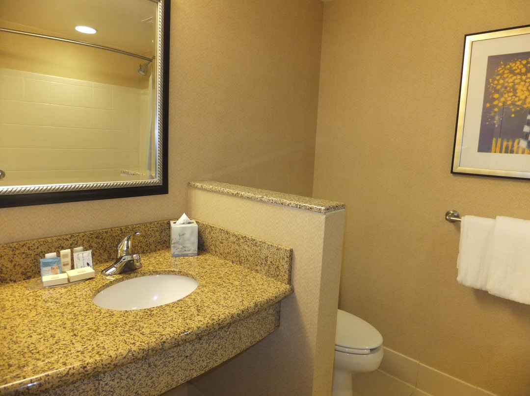 Mardela Springs酒店住宿-Courtyard by Marriott Salisbury