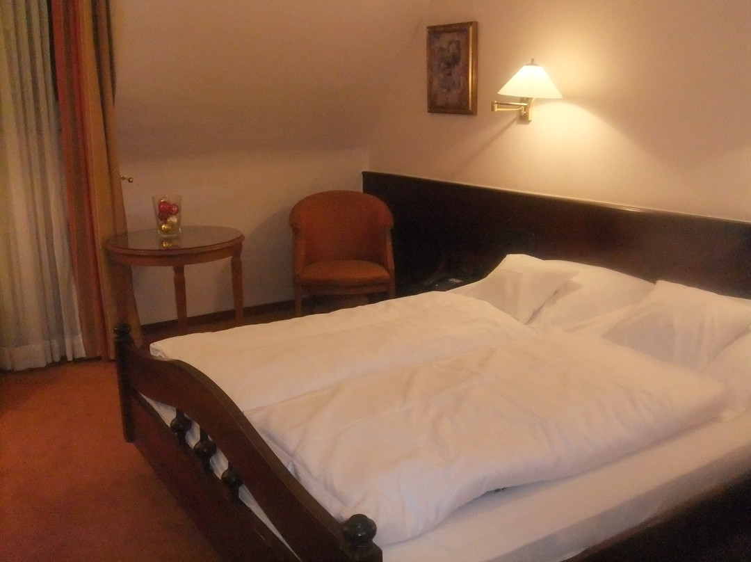 佛莱堡酒店住宿-Central Hotel Freiburg
