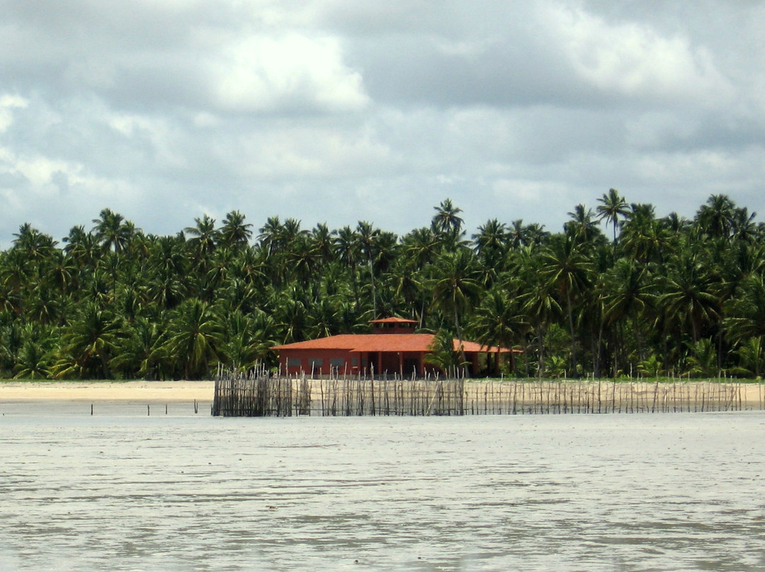 Xareu Beach-Maragogi必去景点