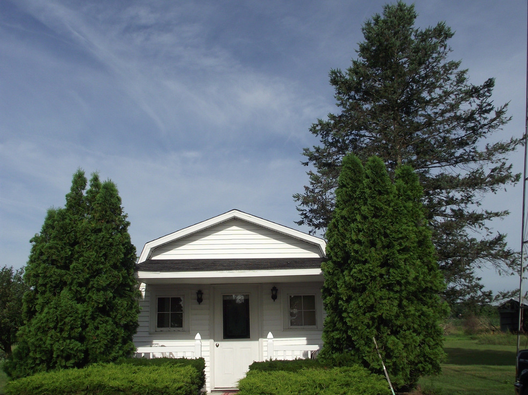 Bee Hive Bed and Breakfast主图