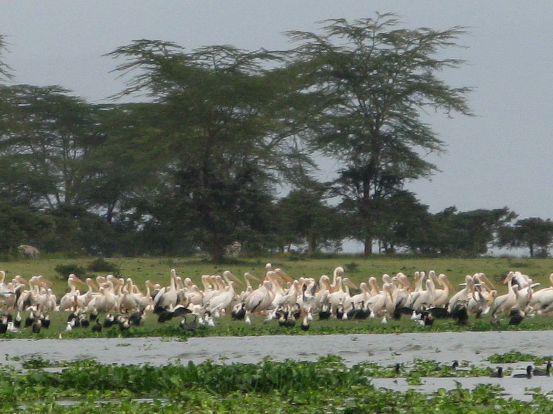 Rift Valley Province旅游攻略图片